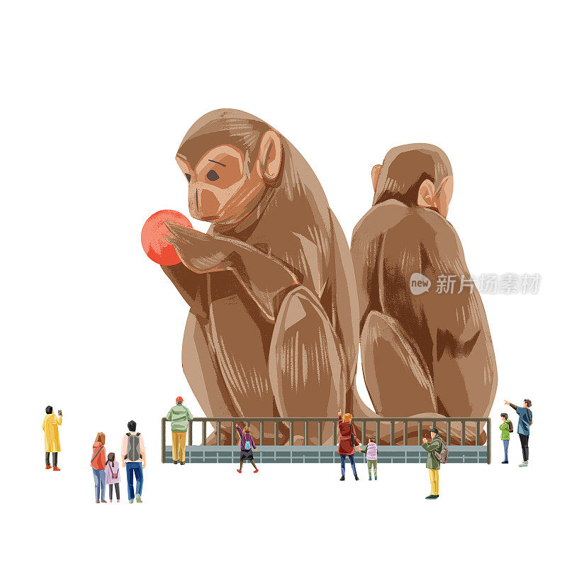人们在动物园欣赏猴子