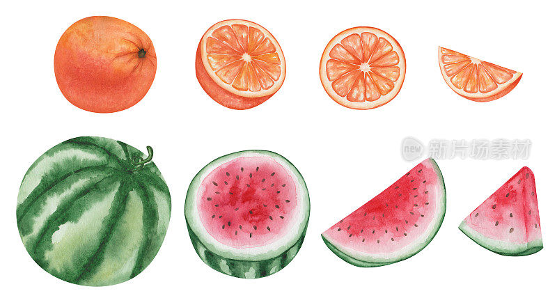水彩画手绘西瓜与种子，绿色的皮，红色的内部和橙色，葡萄柚，橘子。夏天的水果切成两半