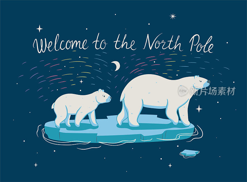 明信片上有北极熊和北极光。矢量图形。