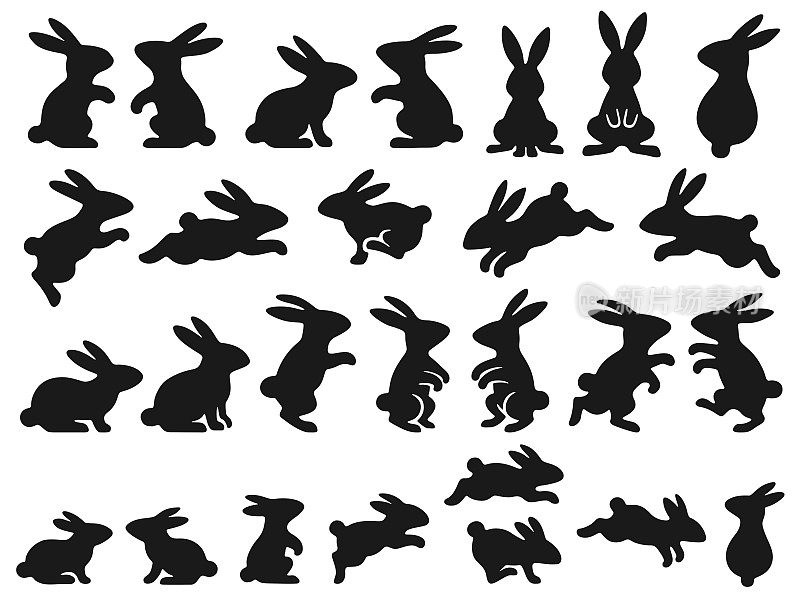 插图的兔子在各种姿势