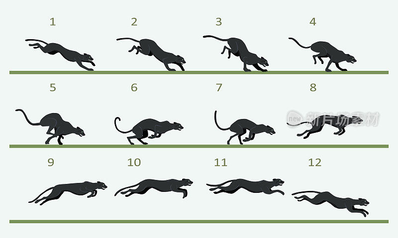 动画周期的黑豹。捕食者循环运行。12个关键帧。