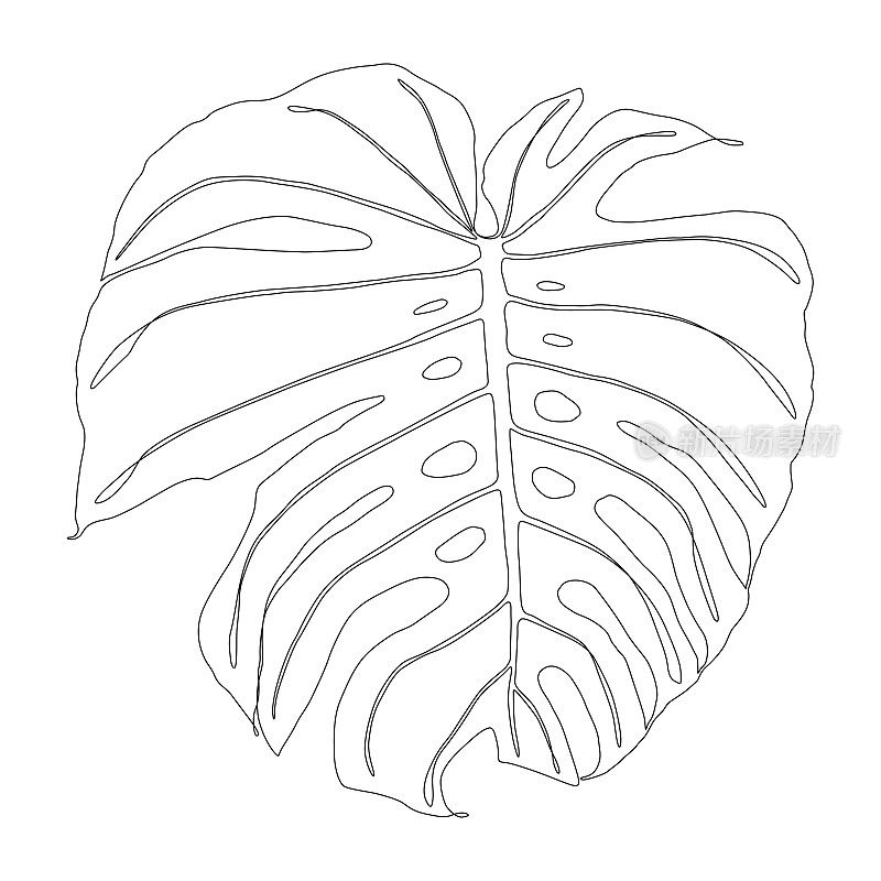 怪物叶连续线条绘制与可编辑的笔触