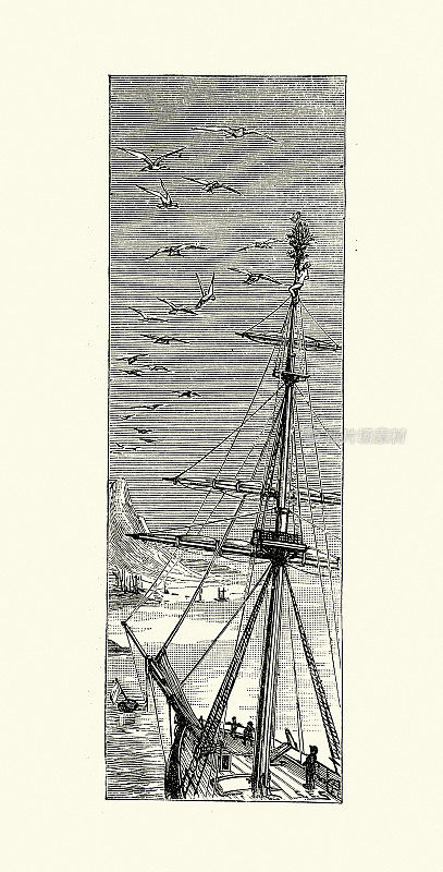海鸥飞过帆船的桅杆，水手爬上索具，19世纪80年代