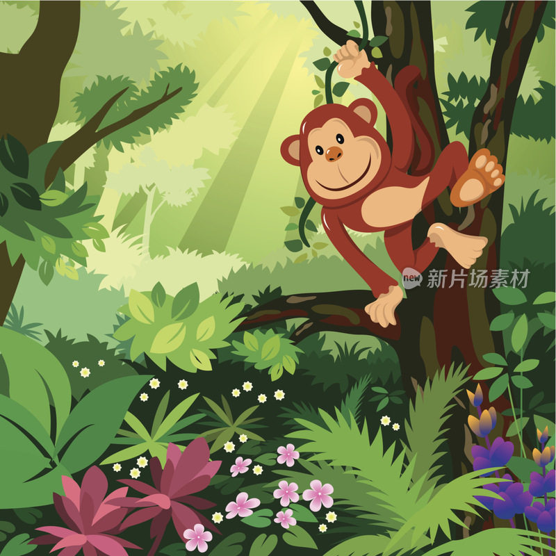 森林里的猴子