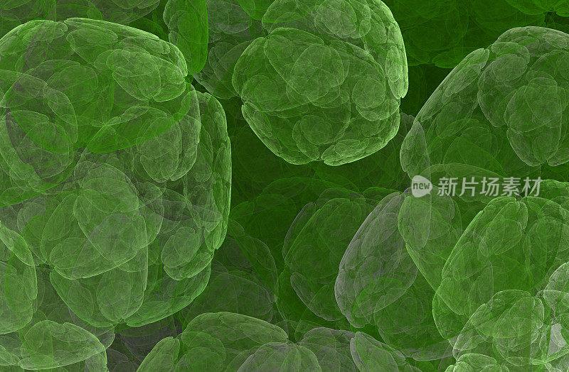 叶绿素。活的植物细胞