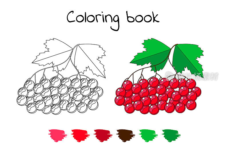 儿童涂色书。矢量插图。荚莲属的植物•白瑞