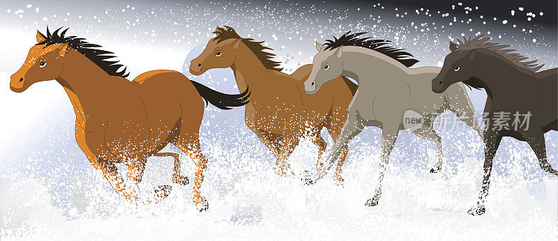 马在暴风雪中奔跑