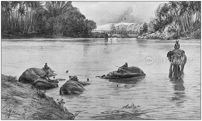 古玩插图:斯里兰卡马哈威利河上的人和大象