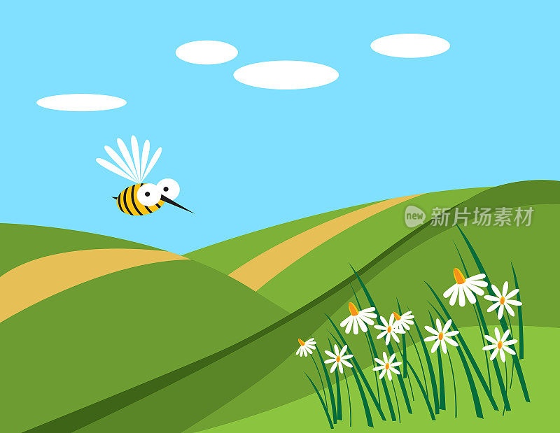 夏天草地上有一只蜜蜂