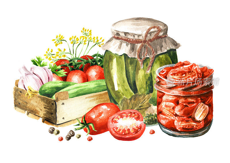 自制罐装蔬菜水彩手绘插图，孤立在白色背景