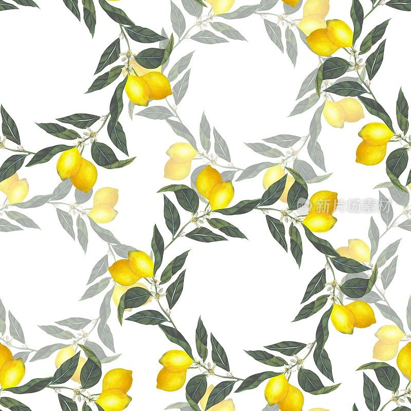 水彩无缝模式与插图的分支与新鲜柑橘黄水果柠檬，绿叶和花朵。
