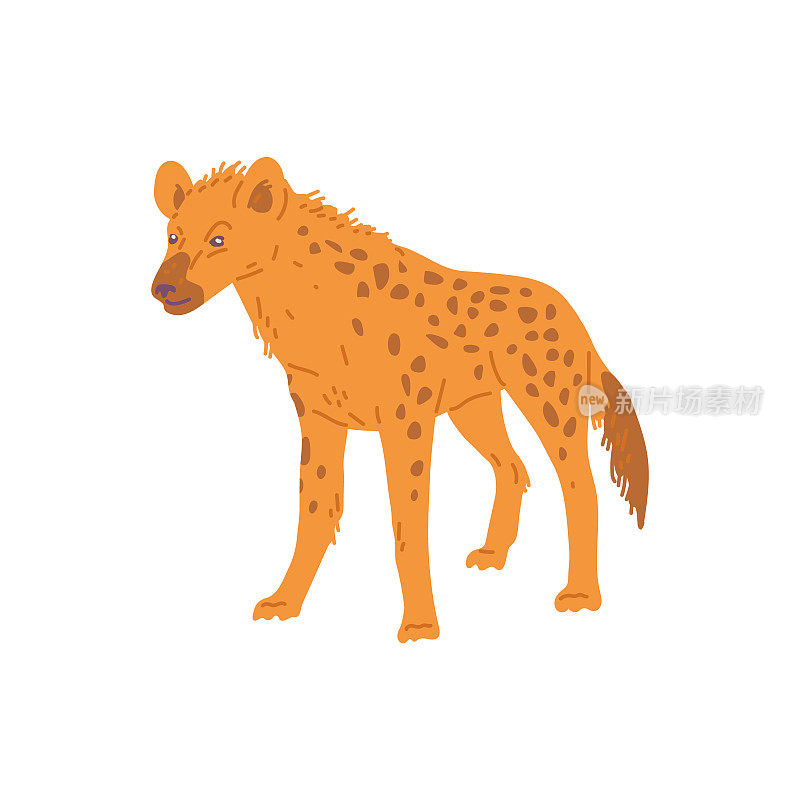 非洲鬣狗动物站平卡通矢量插图孤立的白色。