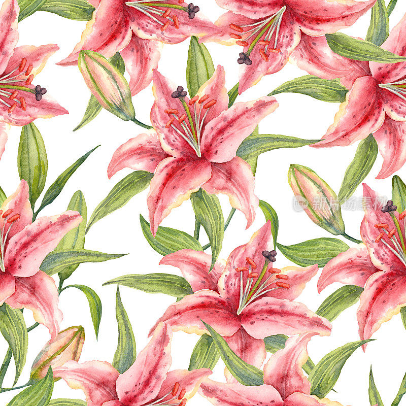 东方杂交百合。水彩粉色百合花，叶和花蕾。无缝模式。手绘插图。
