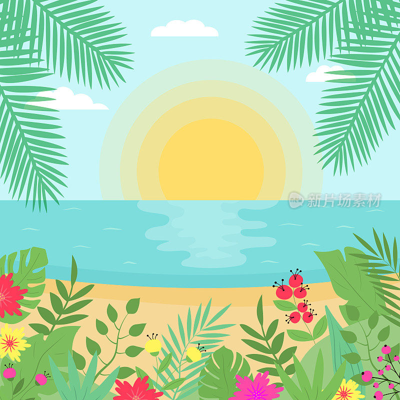 夏日异国风情海景。热带海滩，有棕榈叶，花卉和植物。海边的日落或日出。