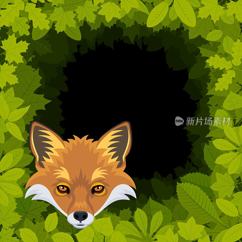 森林里的狐狸。吉祥物创意Logo设计。