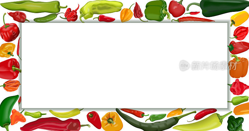 长方形的横幅，上面有不同类型的辣椒。甜辣椒。中等辣度的辣椒。超级辣的辣椒。蔬菜。矢量插图隔离在白色背景上。水平模板。