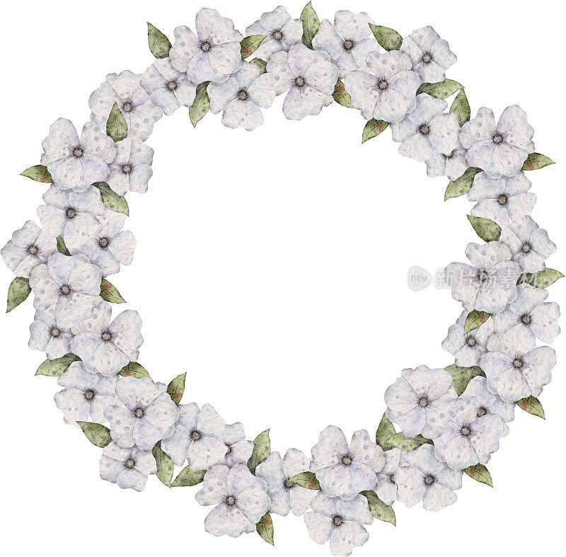 水彩花圈，框架与白色花朵