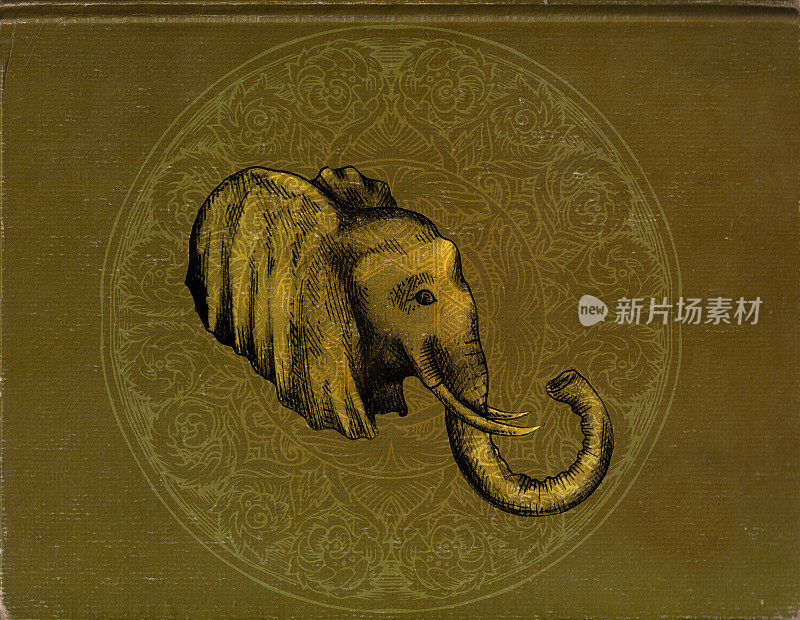 大象的故事