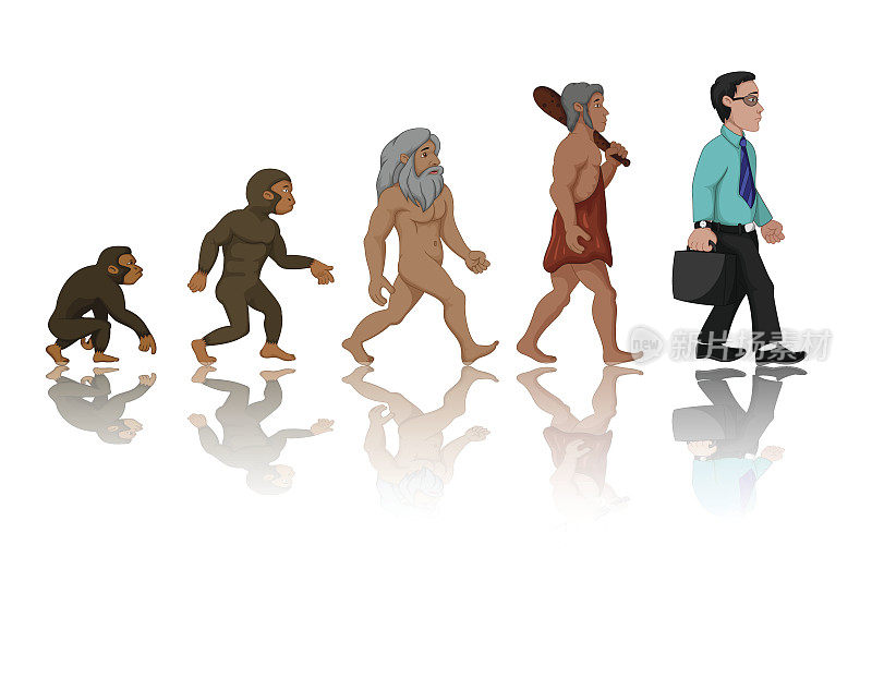 人类从猿进化到人的概念