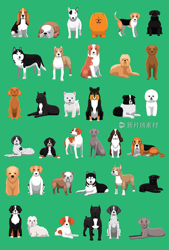 各种中等大小的狗品种卡通矢量插图