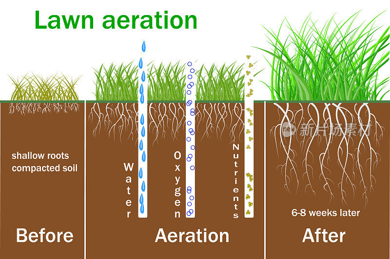 草坪通风有利于植物的生长。水和空气可以自由接触土壤。处理之前和之后的步骤。