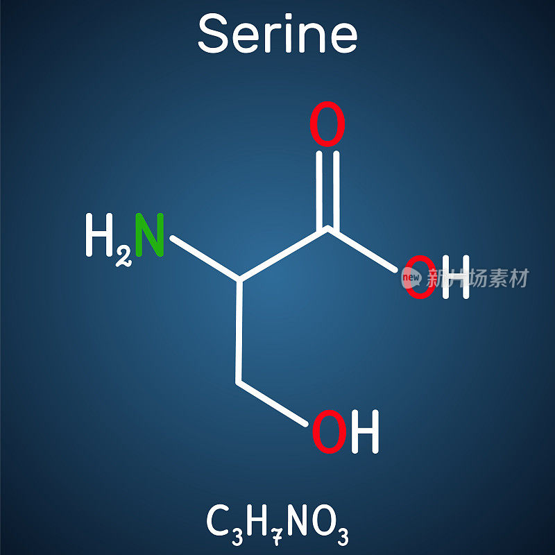 丝氨酸，丝氨酸氨基酸分子。它被用于蛋白质的生物合成。深蓝色背景上的结构化学式