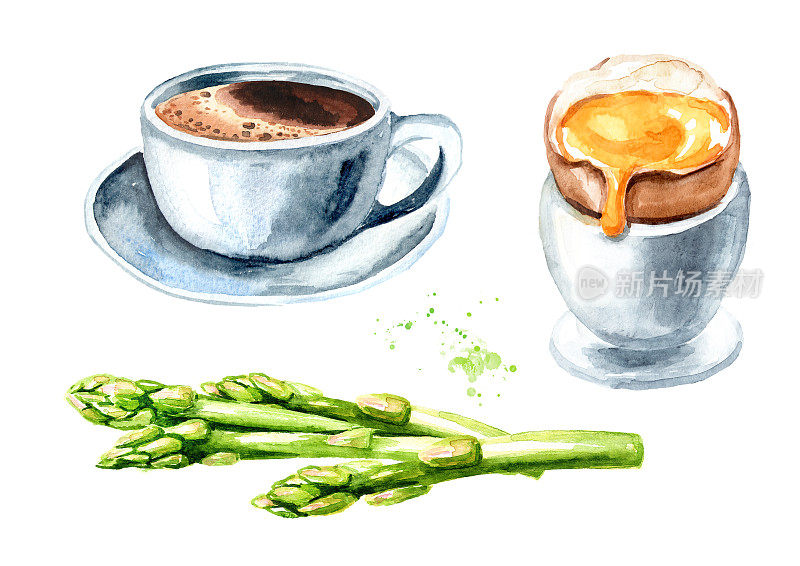 早餐:嫩水煮蛋，新鲜芦笋，一杯咖啡。手绘水彩插图孤立的白色背景