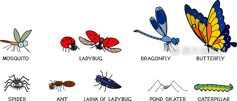 卡通昆虫集:蚊子，瓢虫，蜻蜓，蝴蝶，蜘蛛，蚂蚁，池塘溜冰者和毛毛虫孤立在白色背景上