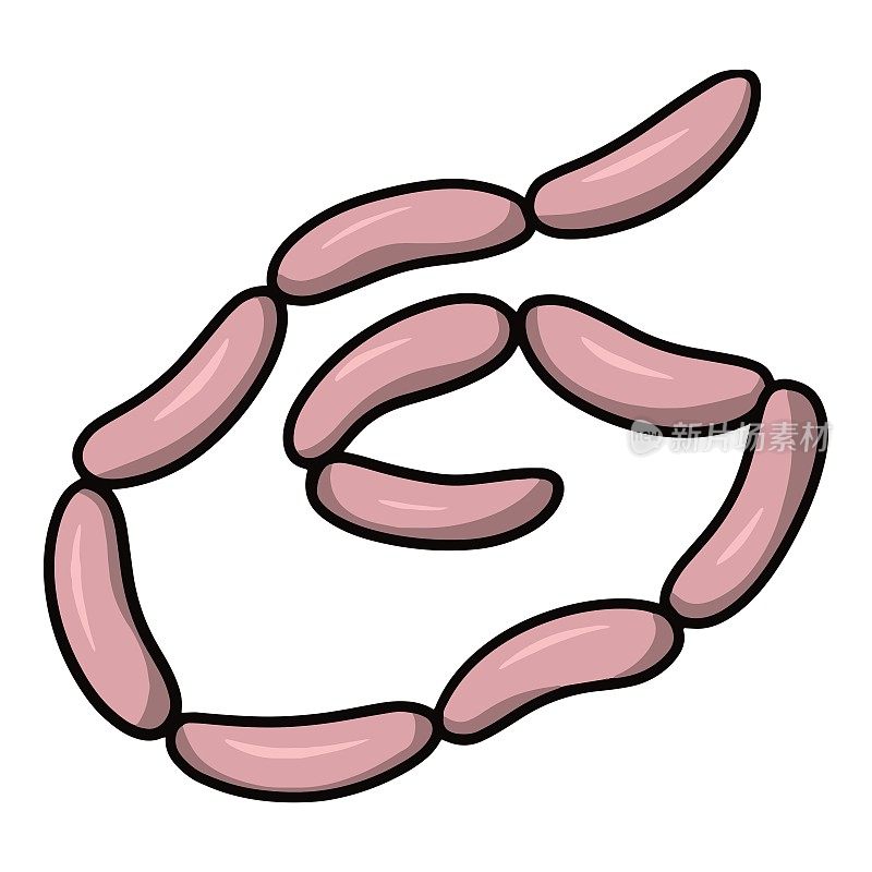 一串长长的美味的粉色香肠，卡通风格的矢量插图