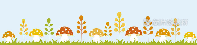 全景秋季背景与蘑菇，植物和草。