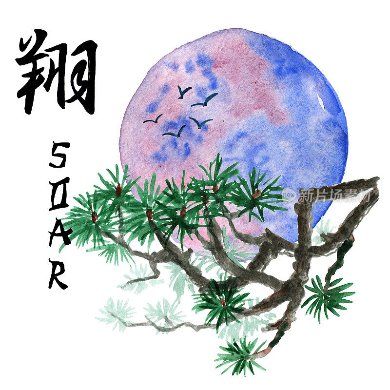 日本的植物，水彩插图。亚洲风格的印刷。日本传统园林，水彩手绘插画。