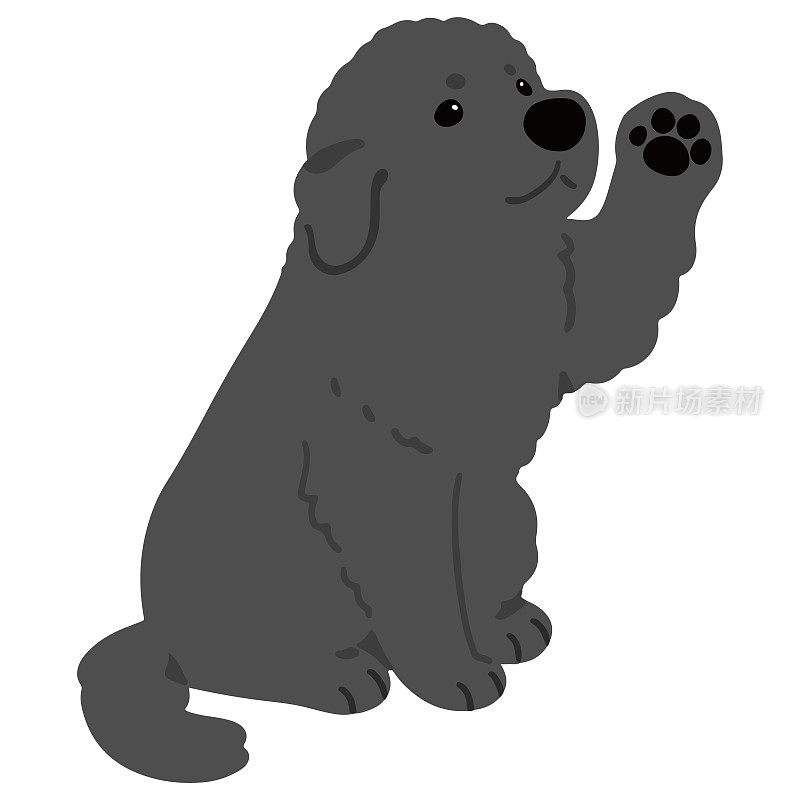 简单可爱的纽芬兰犬插画挥手平彩色