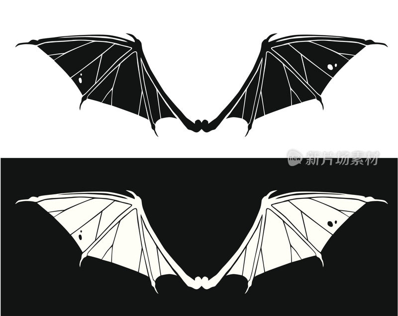 蝙蝠翅膀