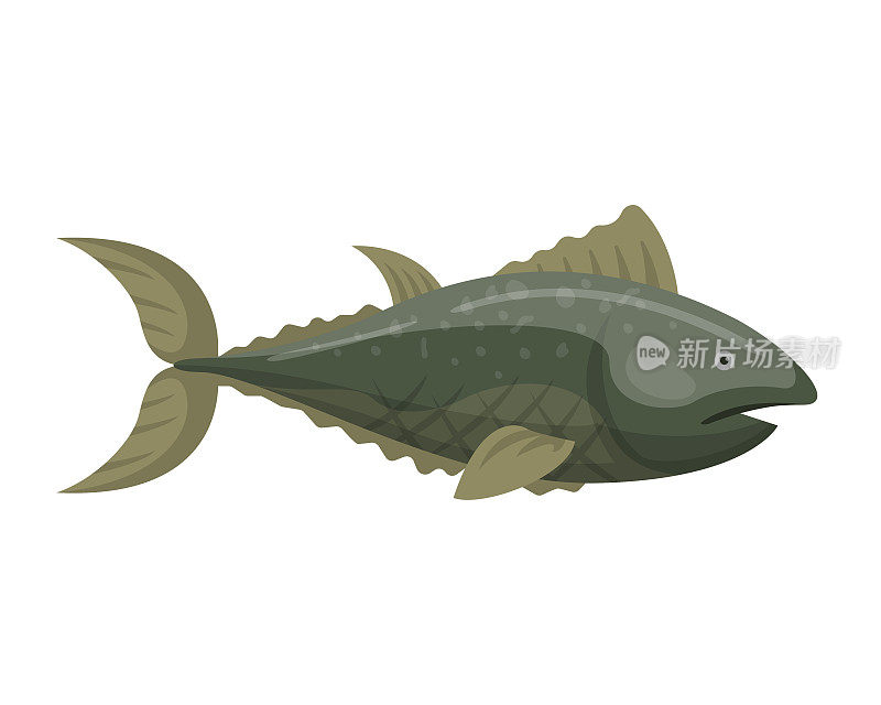 鱼类红鳍自然动物海鲜载体插图
