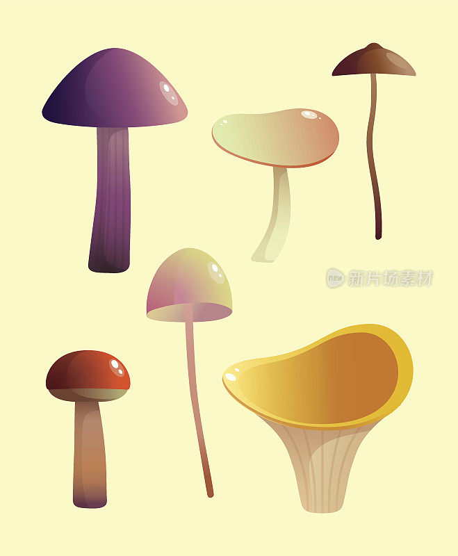 蘑菇矢量插图