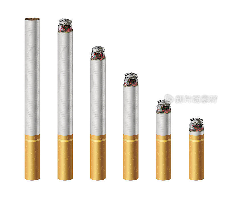 香烟燃烧的不同阶段矢量图孤立在白色上