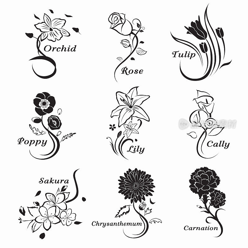 Collection-of-outlined-flowers