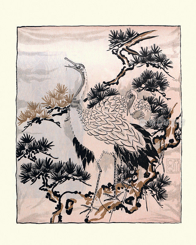 日本艺术，画鹤，鸟，福草