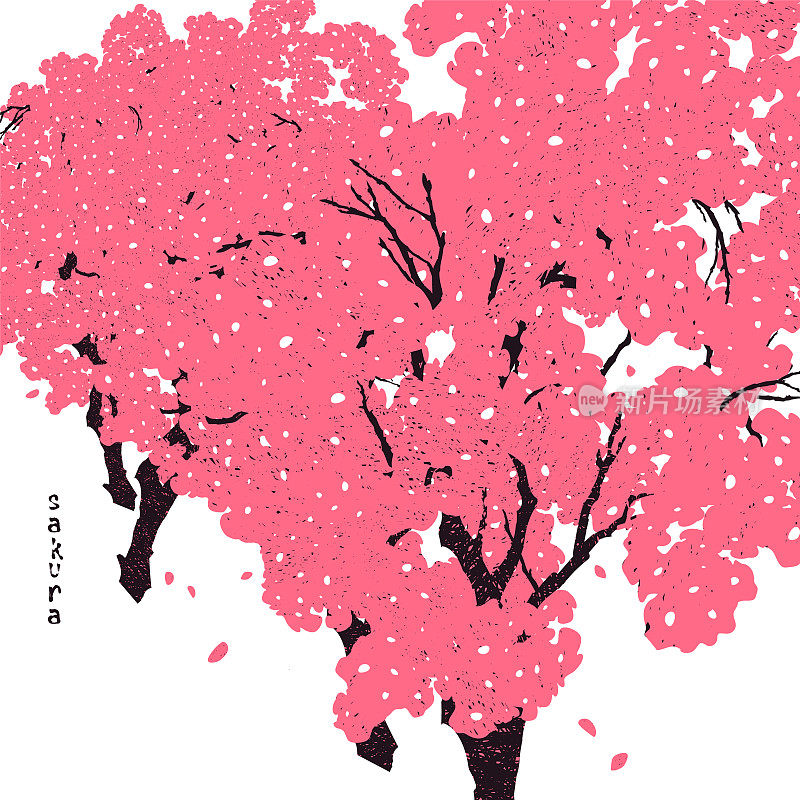 樱花盛开，亚洲春意盎然。矢量插图与樱花。白色背景上的一组树。