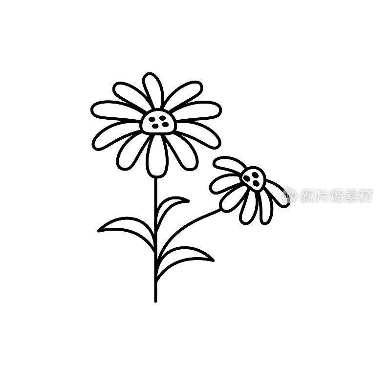 可爱的花图标在平面设计-雏菊