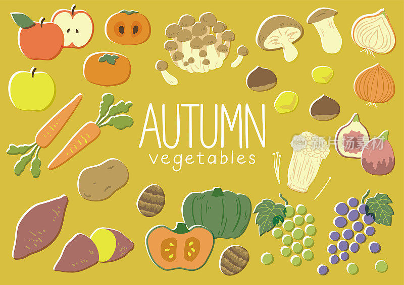 秋天的水果和蔬菜的剪贴画