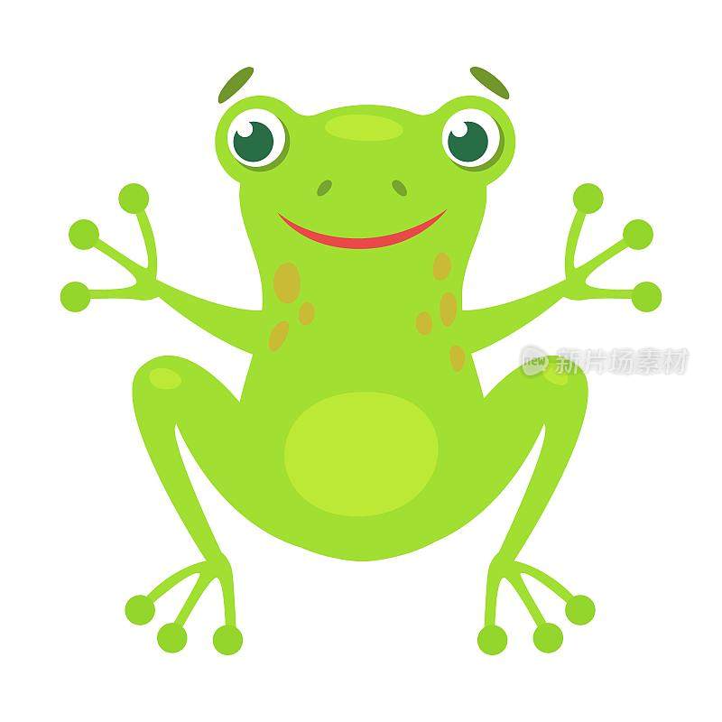 可爱的青蛙蹲卡通插图。有趣的绿色呱呱蟾蜍孤立在白色背景。平面向量