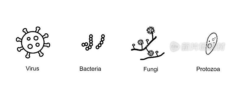 微生物的分类图显示了4种类型的病毒，细菌，真菌，原生动物在概念的黑色图标。
