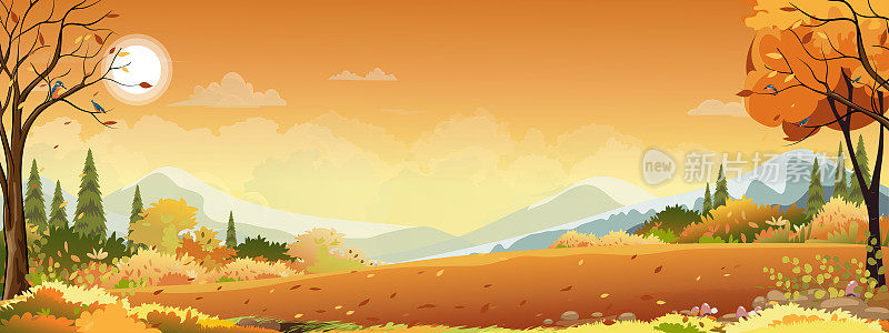 秋天全景景观农场田野与橙色的天空，美丽的日落在秋天的乡村全景视图与黄色的树叶，矢量卡通秋季与横幅背景的复制空间