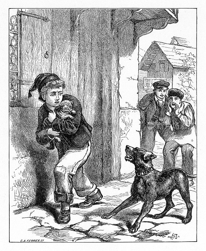 一个小男孩为了保护他的猫不被狂吠的狗和恶霸欺负，美国维多利亚版画，1882年
