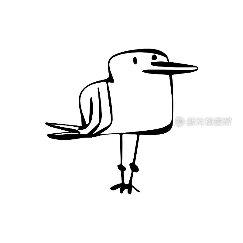 海鸥卡通图