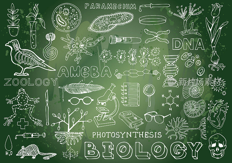生物科学涂鸦手绘元素。科教主题。