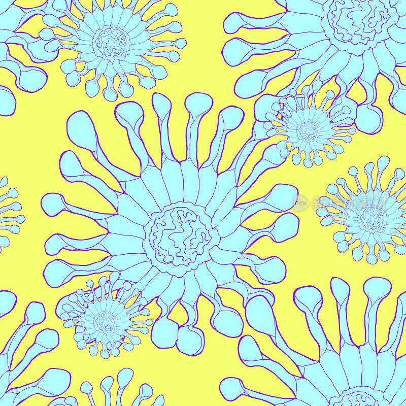 无缝隙图案的骨花属热带花。矢量图
