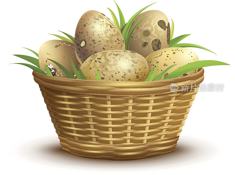 鹌鹑蛋满柳条篮子