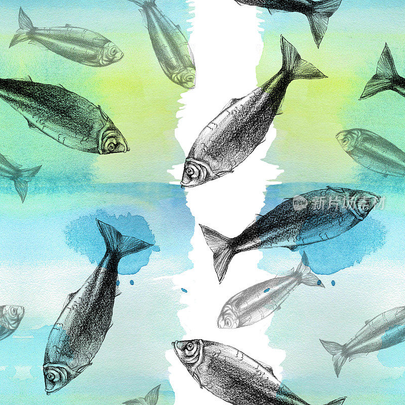 水彩鱼鲱鱼图黑白配蓝色背景卡通绘图，背景无缝衔接